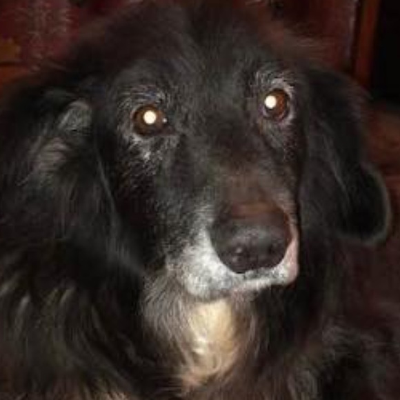 Meet your Posher, Mark - Picture 1 of 1